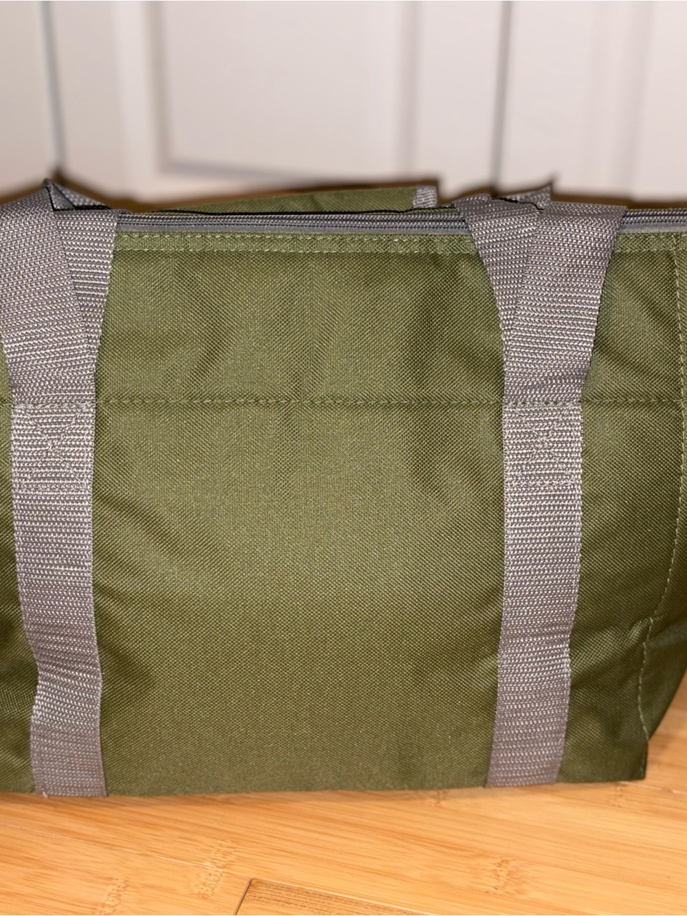 Sierra Club Insulated Cooler Tote Bag Green Gray Zip Lunch Picnic Beach Travel - Picture 3 of 11